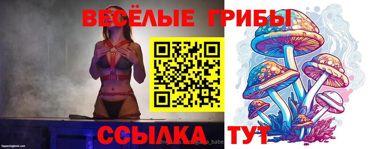 Псилоцибиновые грибы мухоморы  Псилоцибиновые грибы MAGIC MUSHROOMS  Вход с VPN  Янаул 